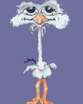 pic for Tall Bird